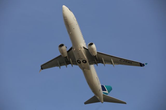 Boeing 737-800 (C-FRWA)