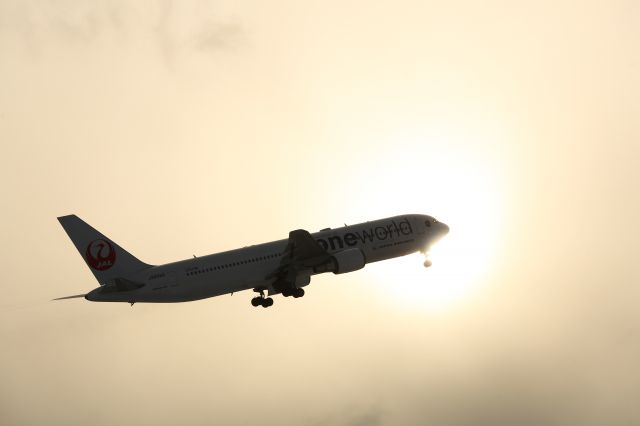 BOEING 767-300 (JA8980) - 31 December 2015:HKD-HND.