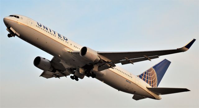 BOEING 767-300 (N667UA)