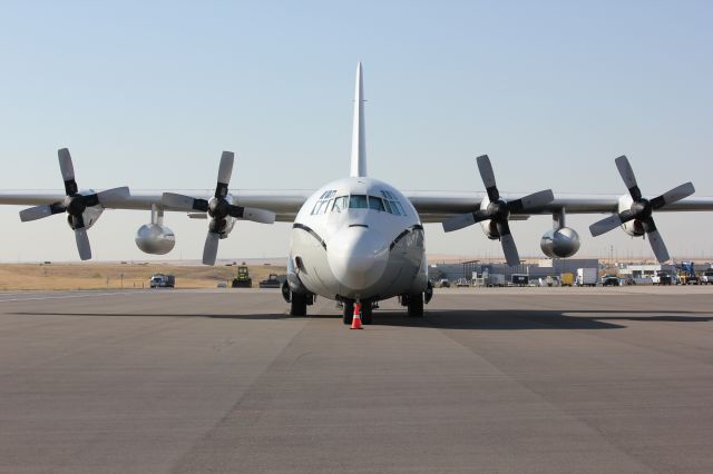 Lockheed C-130 Hercules (N3755P) - At DIA on 9-8-2012.