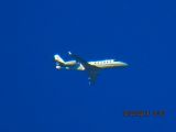 N77709 thumbnail