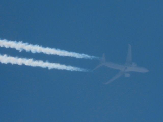 Boeing 737-800 (N733KA)