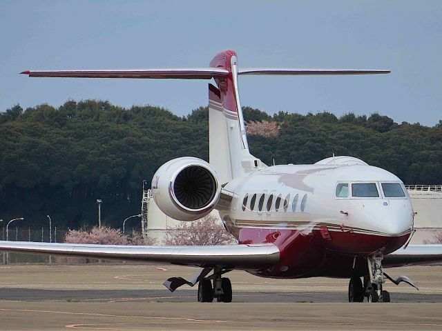 Gulfstream Aerospace Gulfstream G650 (9H-LZM) - I took this picture on Apr 12, 2019.