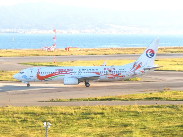Boeing 737-800 (B-1907)