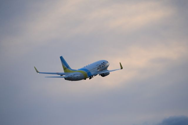 Boeing 737-800 (JA12AN) - October 7th 2020:HKD-HND.