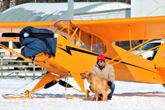 Piper NE Cub (N5341N) - Golden Cub & Golden Retriever / A pair that complement each other.