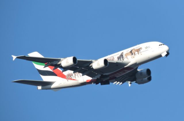 Airbus A380-800 (A6-EEO) - Emirates United for Wildlife livery ready to drop its wheels just before landing March 2018.