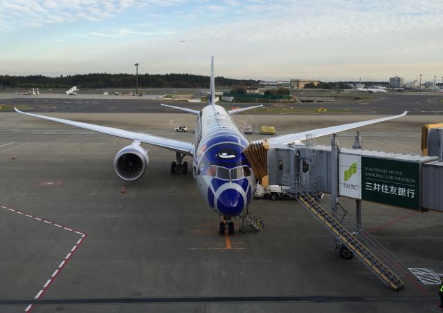 Boeing 787-9 Dreamliner (JA873A)