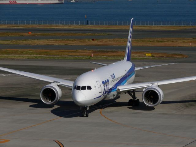 Boeing 787-8 (JA810A)