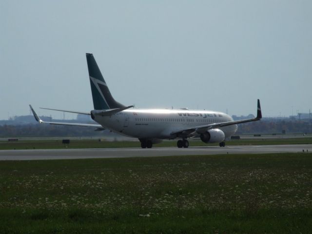 Boeing 737-800 (C-GZWS)