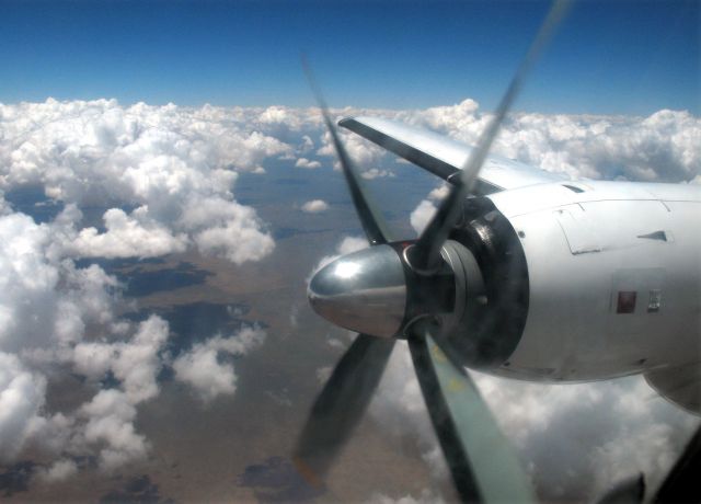 Grumman Gulfstream 1 (ZS-JIS) - Rotol propellers with automatic pitch control