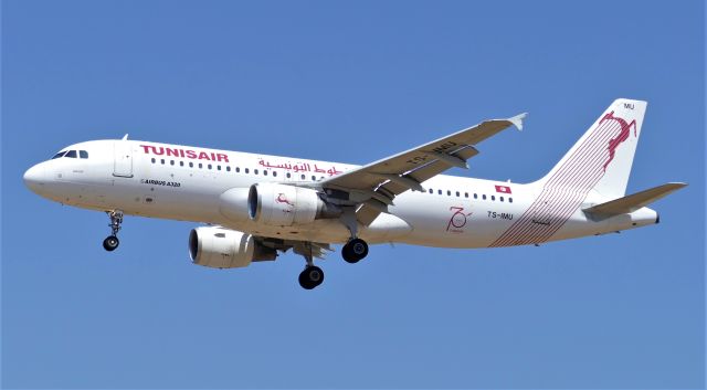 Airbus A320 (TS-IMU) - On landing rwy31