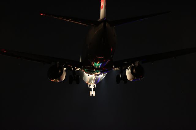 Boeing 737-800 (JA335J) - November 13th  2020:HND-HKD.