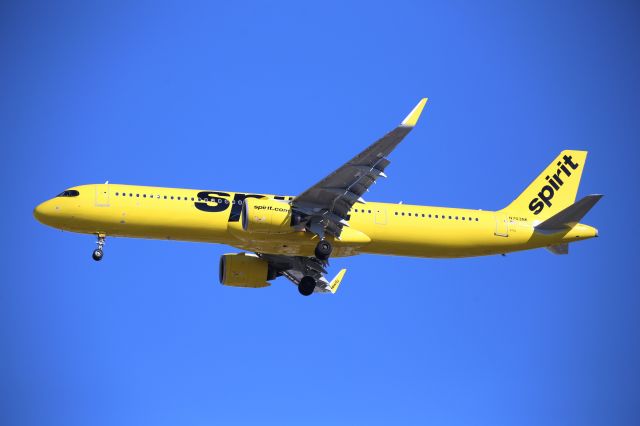 Airbus A321neo (N703NK)