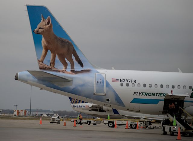 Airbus A320neo (N387FR) - Juaquin the KIT FOX!!br /Just arrived at the gate, getting luggage unloadedbr /Sun 12/5/2021 11:18:03 AM