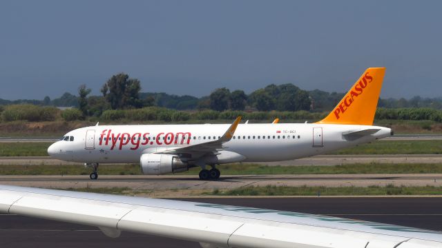 Airbus A320 (TC-DCI) - Pegasus Airbus A320-214(WL) TC-DCI in Roma Fiumicino 