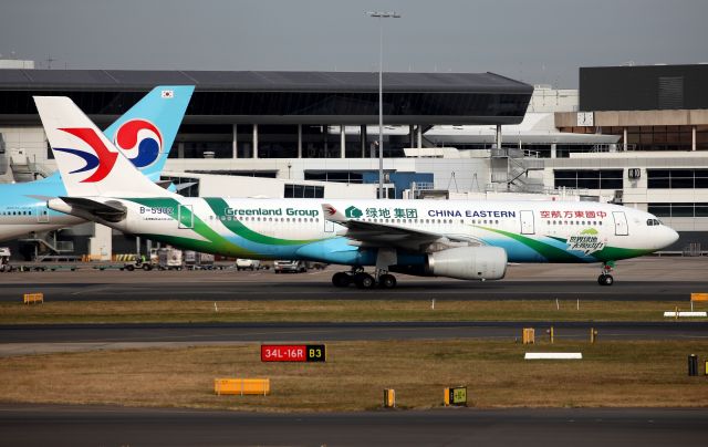 Airbus A330-200 (B-5902) - Greenland Group C/S