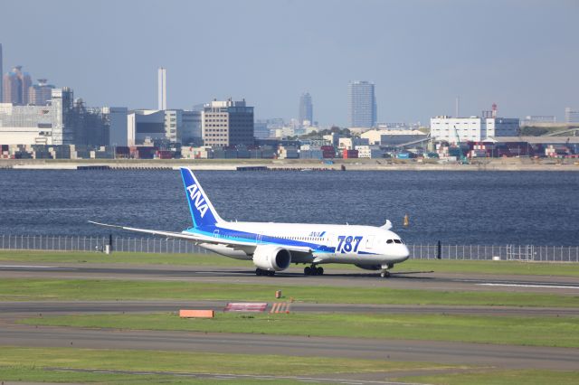Boeing 787-8 (JA809A)