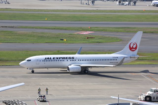 Boeing 737-800 (JA307J)