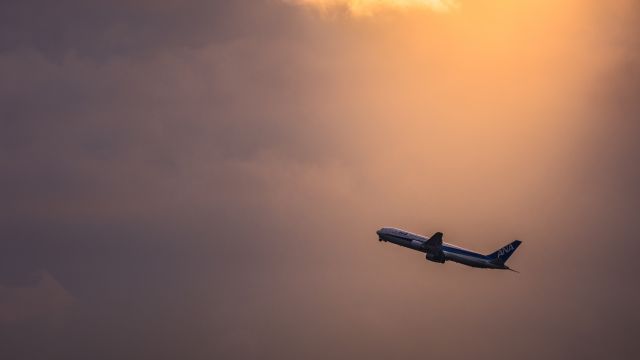 BOEING 767-300 (JA8567)