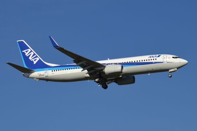 Boeing 737-800 (JA71AN)