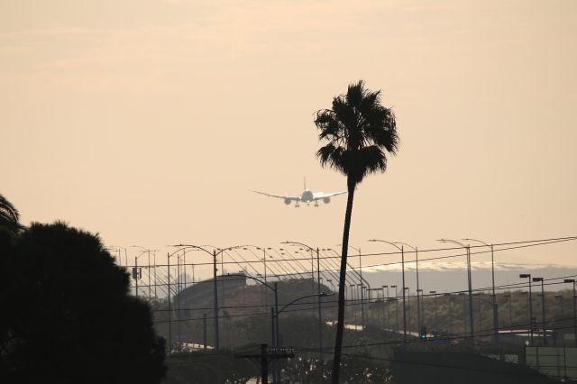 Boeing 787-9 Dreamliner (VH-ZNE)