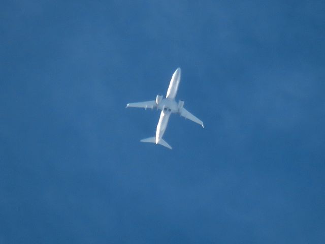 Boeing 737-900 (N69804)