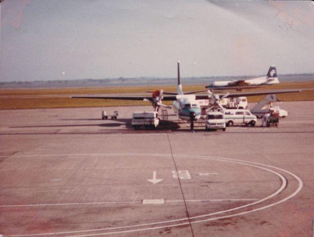 FAIRCHILD HILLER FH-227 (ZK-BXG) - here we see two fokker frienship aircraft at Auckland airport 1984 domestic airport ZK-BXG and ZK-BXF arriving of runway 5R from Wellington ZK-BXG is un loading from a flight from New Plymouth