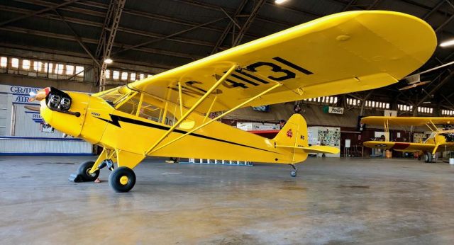 Piper NE Cub (N41131)