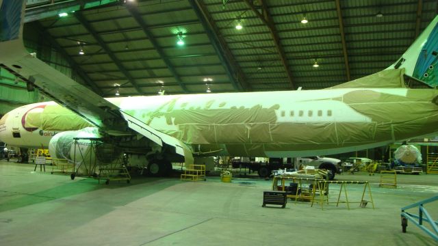 Boeing 737-800 — - Crown Skin Repaint