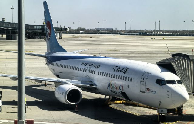 Boeing 737-800 (B-1446) - 2025.04.02 HBH B737-800WL IN ZBAD