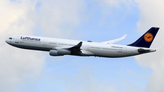 Airbus A340-600 (D-AIGI)