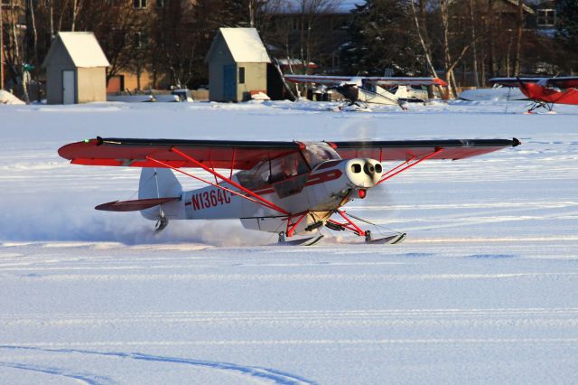 Piper L-21 Super Cub (N1364C)