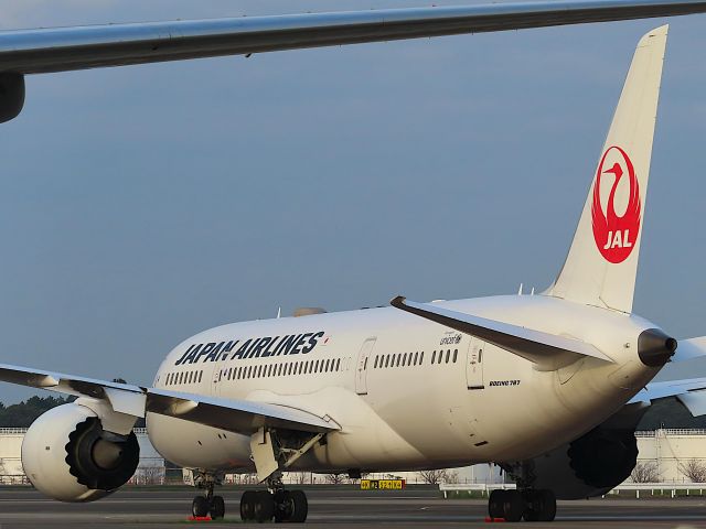 Boeing 787-8 (JA829J) - I took this picture on Oct 14, 2020.