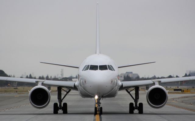 Airbus A319 (D-ALEX)