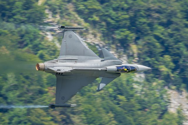 Saab JAS39 Gripen (223)