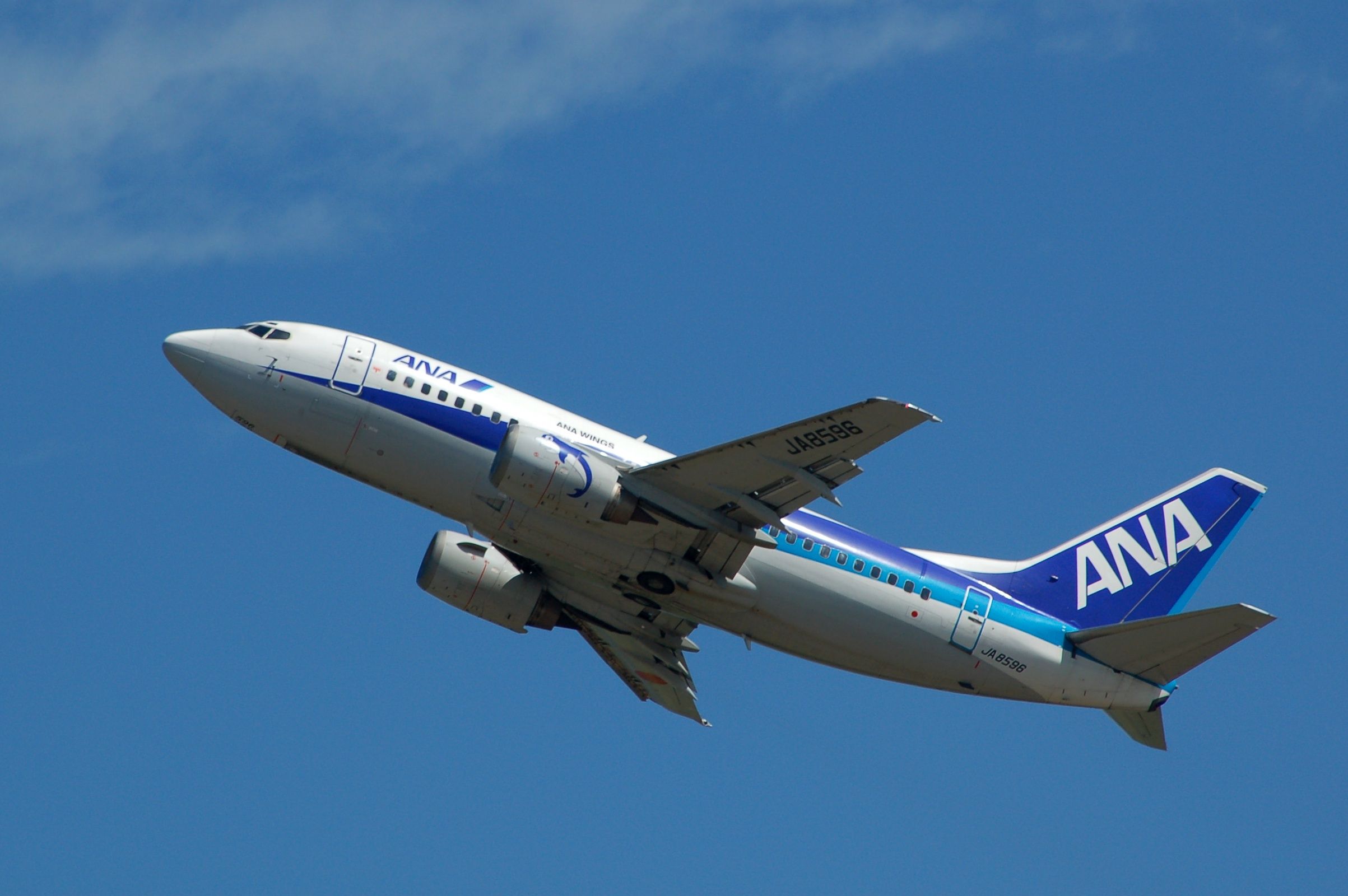 Boeing 737-500 (JA8596)