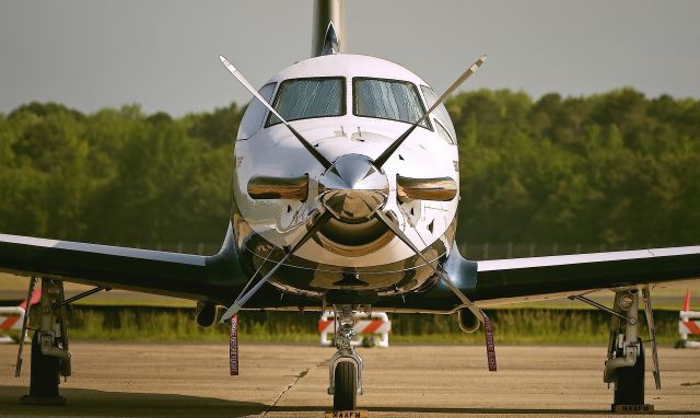 Pilatus PC-12 (N421PP) - Parked Cape May County NJ