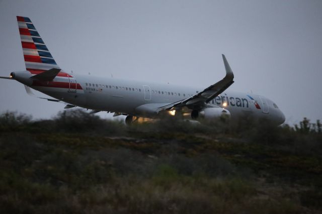 Airbus A321 (N133AN)