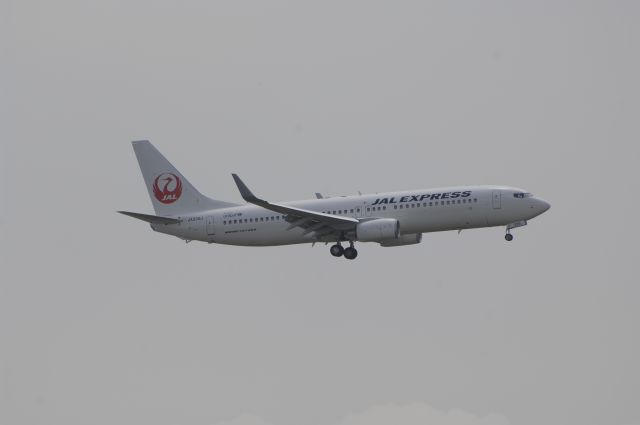 Boeing 737-800 (JA339J) - Final Approach to Haneda Intl Airport R/W22 on 2011/7/5 JAL c/s