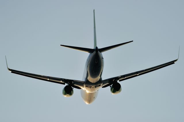 Boeing 737-800 (JA804X)