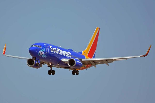 Boeing 737-700 (N961WN) - Southwest Boeing 737-7H4(W) N961WN Shark Week Tiger Shark at Phoenix Sky Harbor on August 20, 2018.