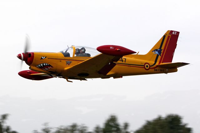 SIAI-MARCHETTI Warrior (BAFST47) - Belgian Air Force trainer.