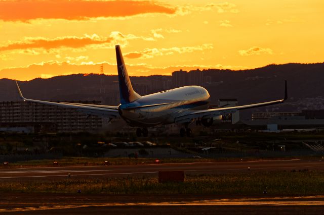 Boeing 737-800 (JA73AN)