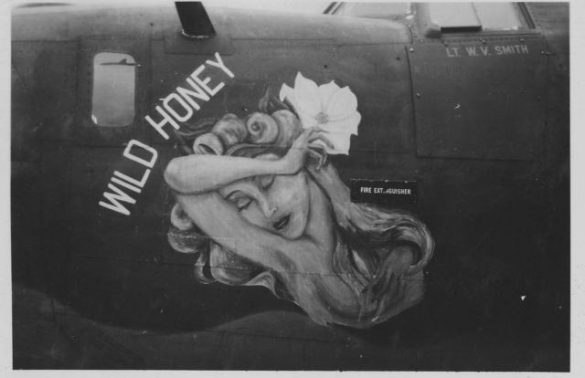 Consolidated B-24 Liberator (B24) - 318th Bomb Group