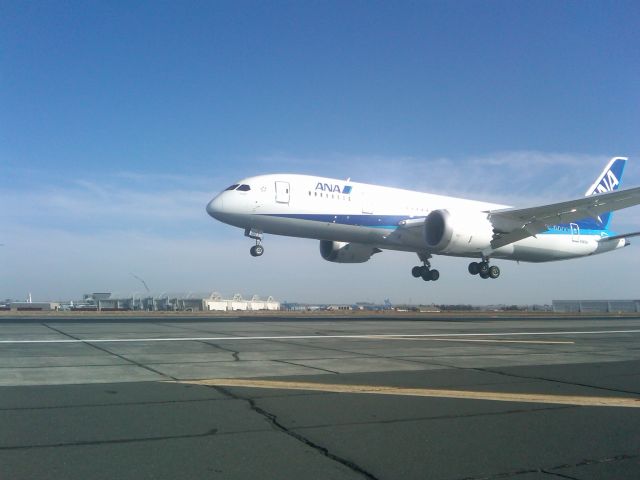 Boeing 787-8 (N787EX)