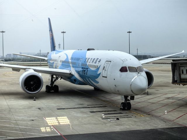 Boeing 787-9 Dreamliner (B-1167) - CSN B789 IN WUHAN HUBEI