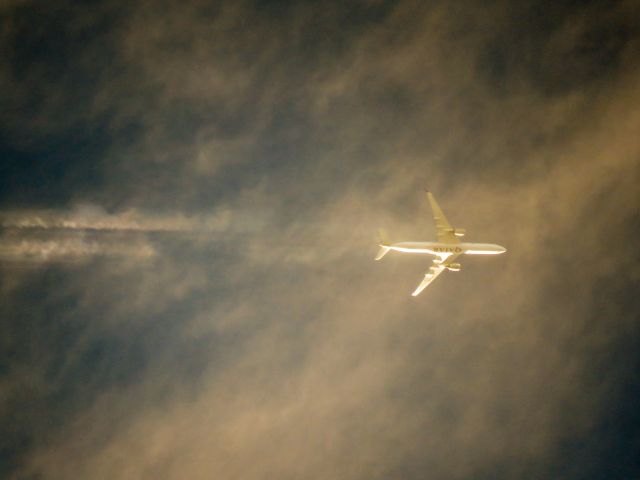 Airbus A350-1000 (A7-ANK)