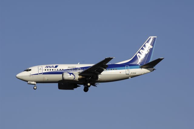 Boeing 737-500 (JA355K) - Final Approach to NRT Airport Runway 34L on 2011/12/31 ANA c/s