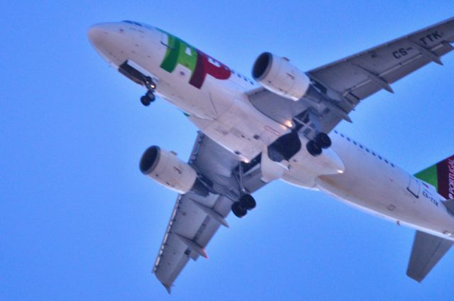 Airbus A319 (CS-TTK) - 2009 - Overhead